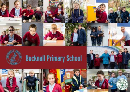 Bucknall Primary School