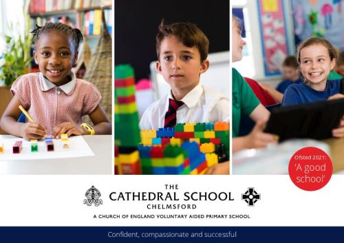 Unique Celebration Prospectuses without Case Studies