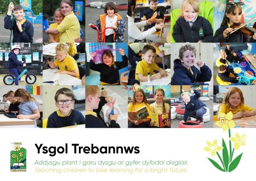 Ysgol Trebannws