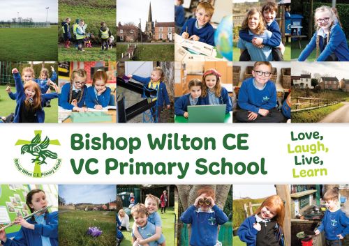 Bishop Wilton's (rural school example) 3-Step Plan Literature