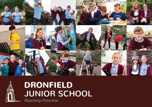 Dronfield Junior School 3-Step Plan Literature