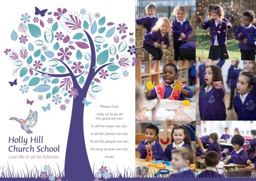Holly Hill's (infant example) 3-Step Plan Literature