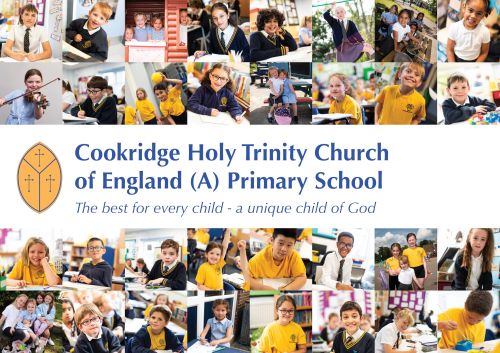 Cookridge Holy Trinity C of E (A) 3-Step Plan Literature