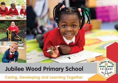 Jubilee Wood's 3-Step Plan Literature