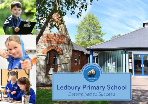 Ledbury's 3-Step Plan Literature