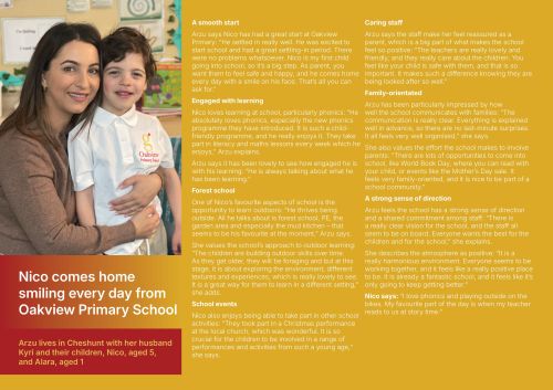 Nico 'full story' online case study