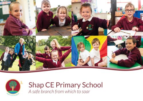 Shap Primary School's (rural school example) 3-Step Plan Literature