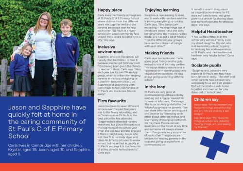 Sapphire 'full story' online case study