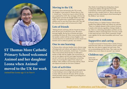 Animol 'full story' online case study