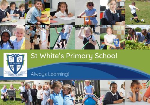St White's (rural school example) 3-Step Plan Literature