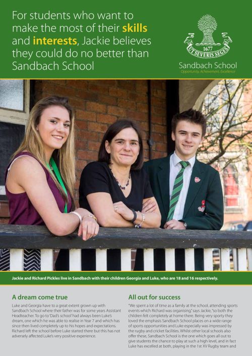 Pickles 'Full Story' Online Case Study