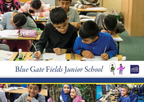 Blue Gate Fields Juniors