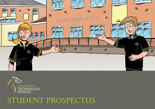 Student Pocket Prospectus Comic